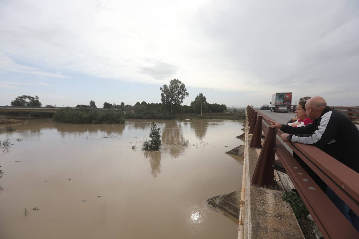 Fotos: Jerez trata de recuperar la normalidad después de las lluvias y la crecida del Guadalete