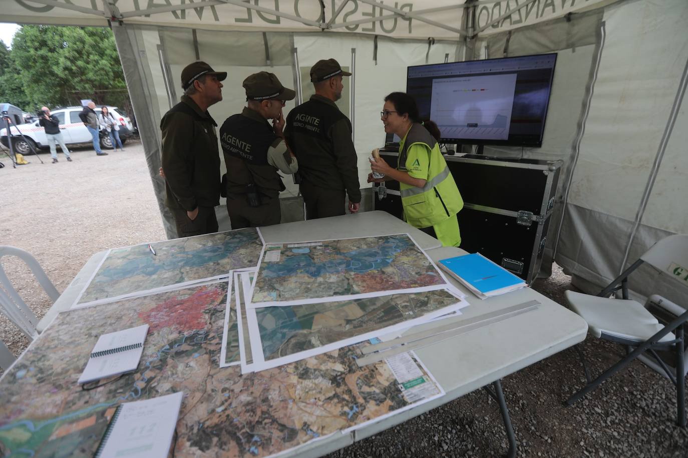 Fotos: Jerez trata de recuperar la normalidad después de las lluvias y la crecida del Guadalete