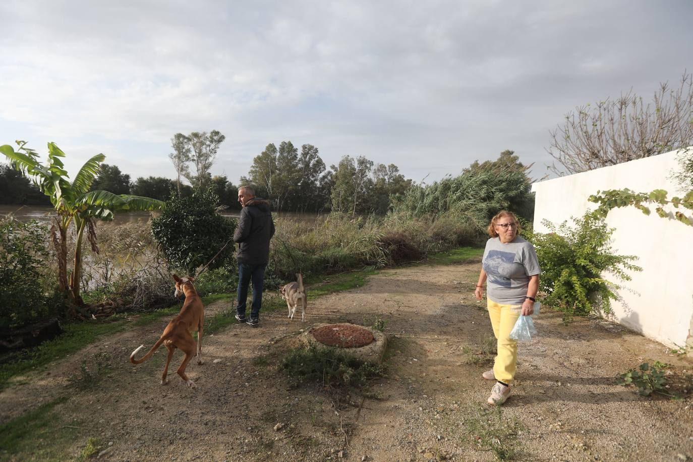 Fotos: Jerez trata de recuperar la normalidad después de las lluvias y la crecida del Guadalete