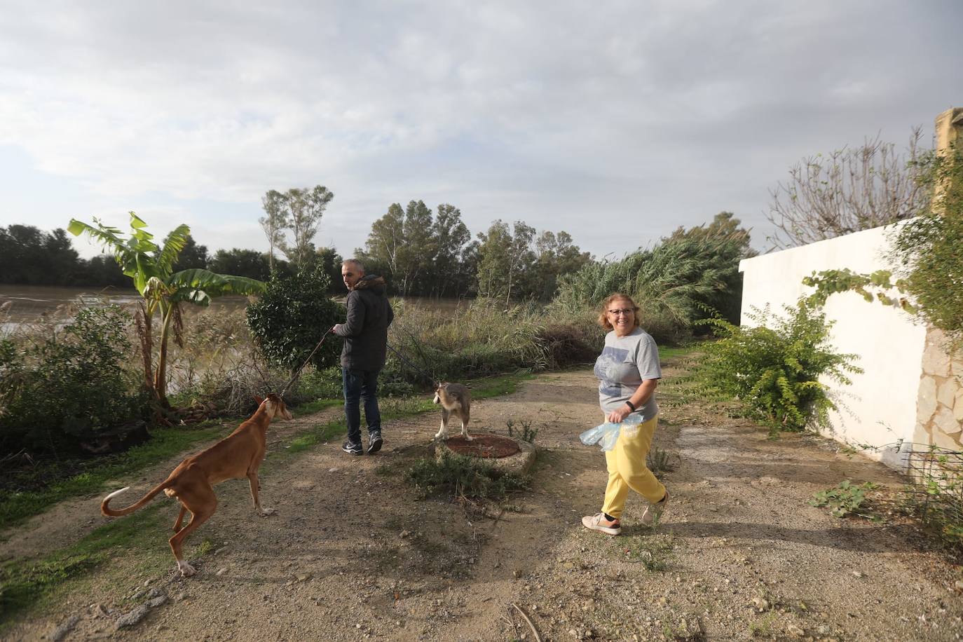 Fotos: Jerez trata de recuperar la normalidad después de las lluvias y la crecida del Guadalete