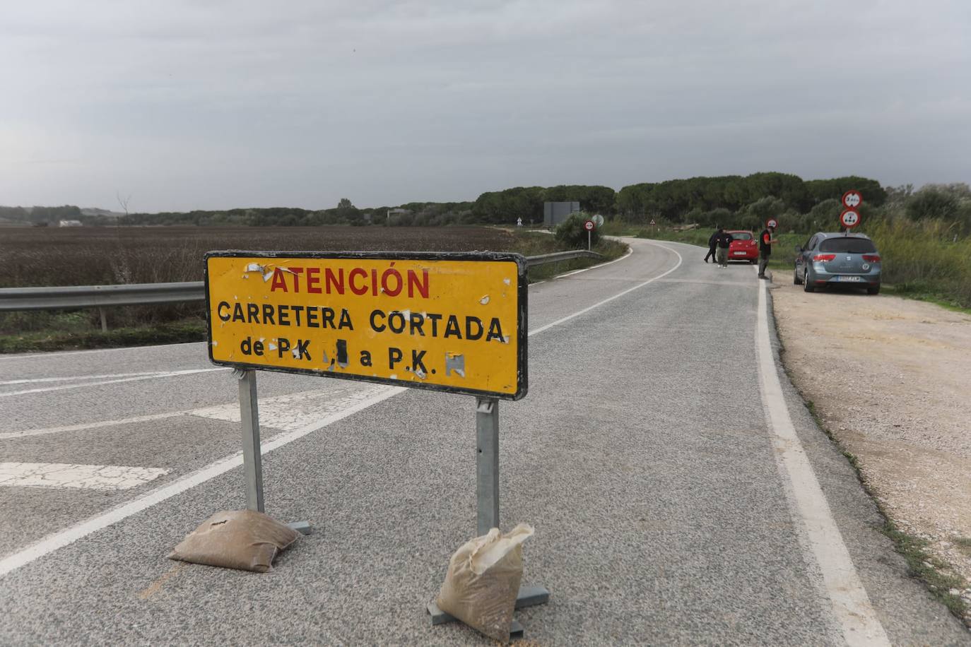 Fotos: Jerez trata de recuperar la normalidad después de las lluvias y la crecida del Guadalete