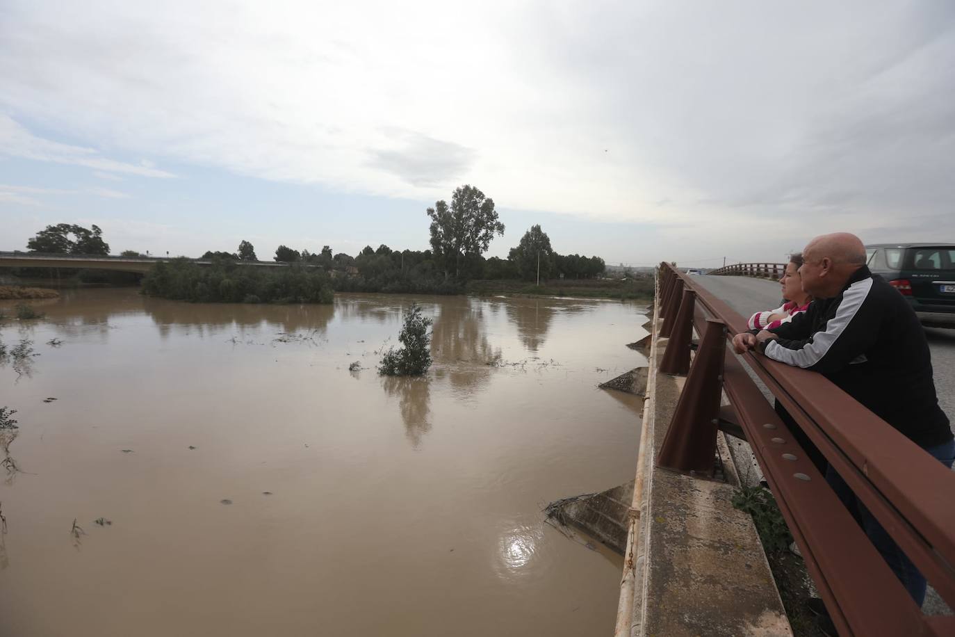 Fotos: Jerez trata de recuperar la normalidad después de las lluvias y la crecida del Guadalete