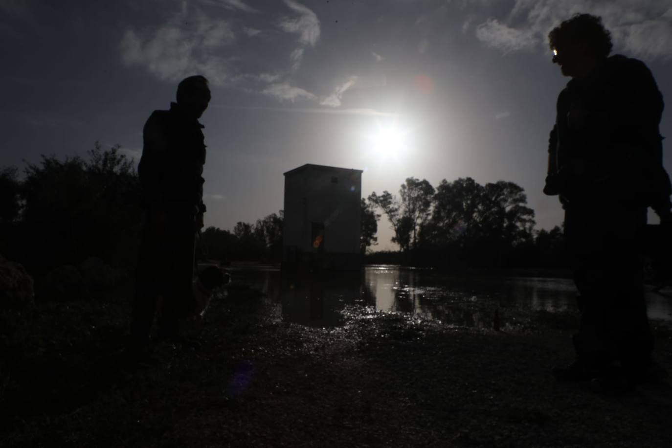 Fotos: Jerez trata de recuperar la normalidad después de las lluvias y la crecida del Guadalete