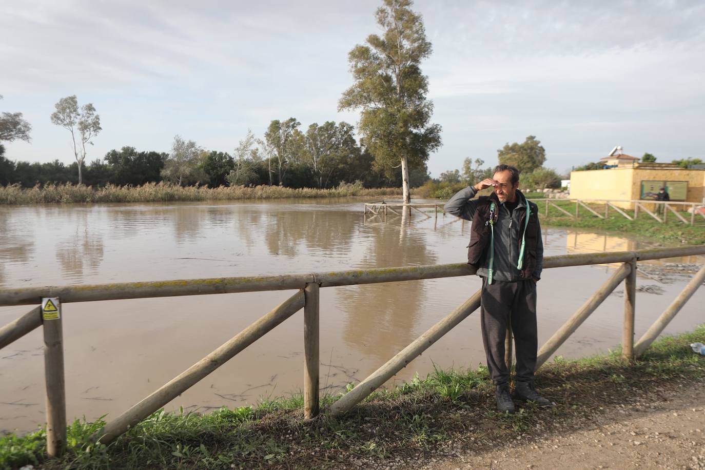 Fotos: Jerez trata de recuperar la normalidad después de las lluvias y la crecida del Guadalete