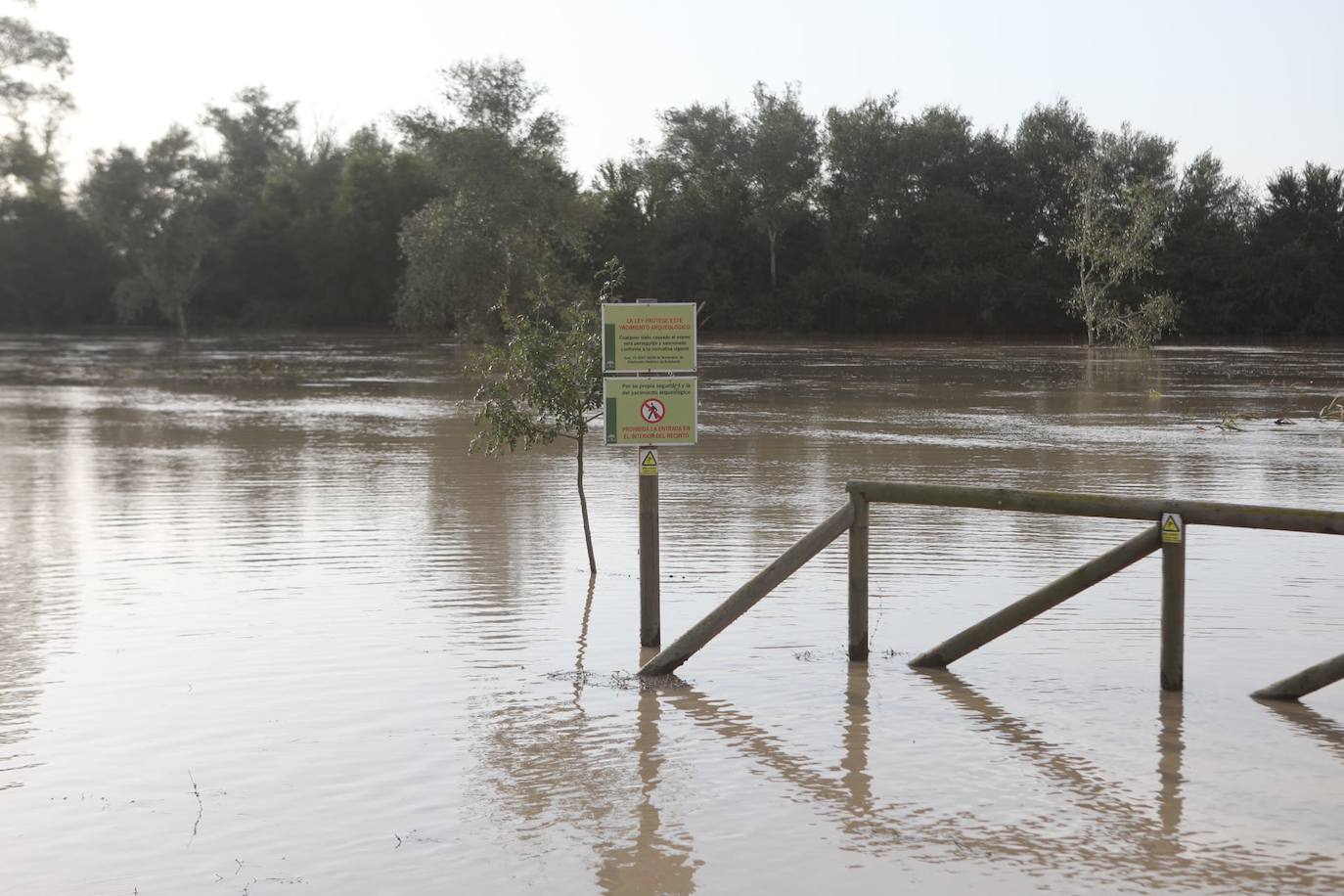 Fotos: Jerez trata de recuperar la normalidad después de las lluvias y la crecida del Guadalete