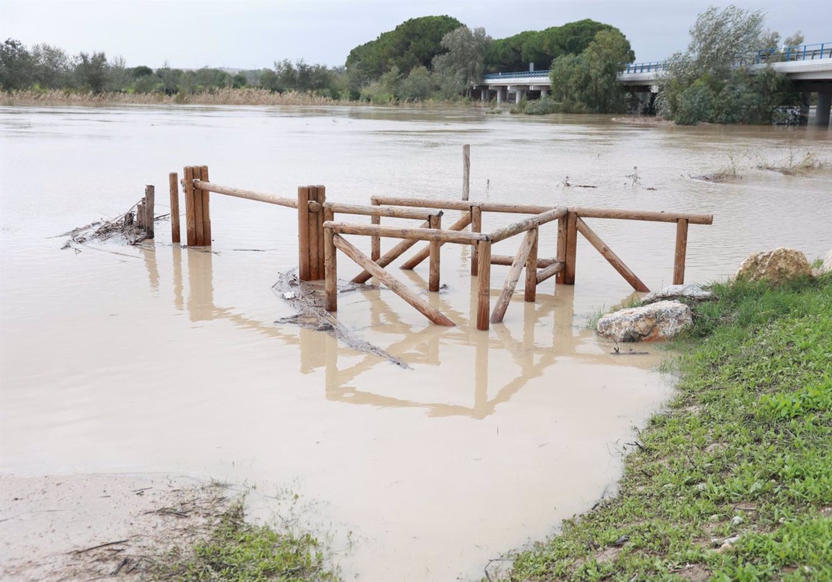 Crecida del río Guadalete a su paso por el puente de la Cartuja.