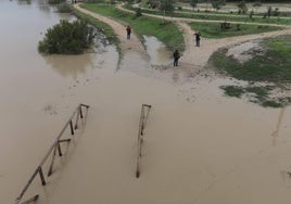 Jerez pedirá al Gobierno la declaración de zona afectada gravemente por la DANA