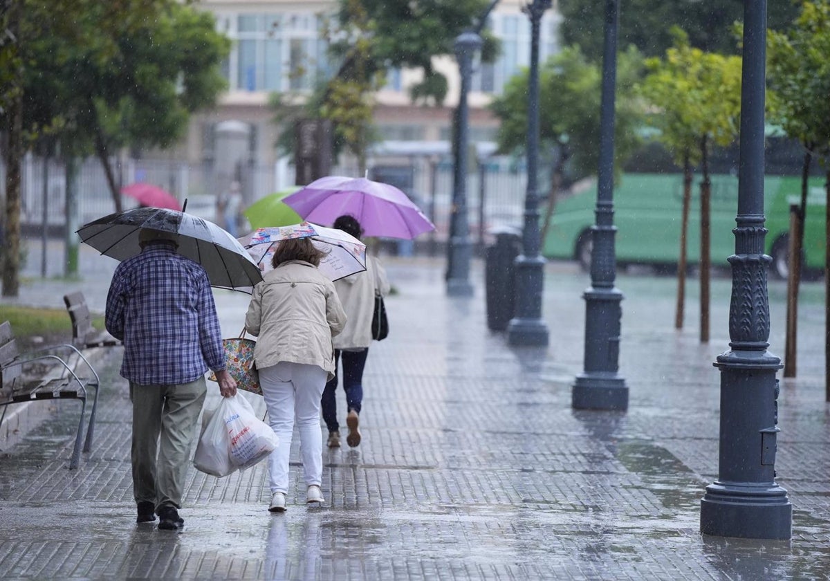 Vecinos bajo sus paraguas durante una intensa lluvia en octubre en Cádiz.