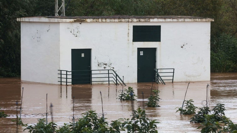 La provincia de Cádiz aprende la lección y capea la DANA sin lamentar daños personales