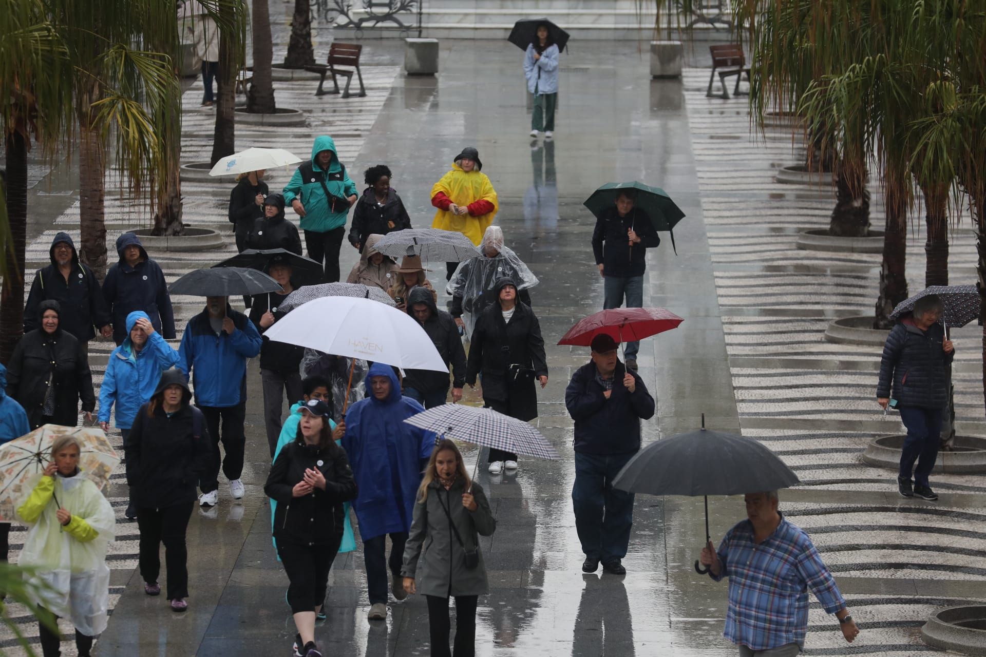 Fotos: La provincia de Cádiz sigue en aviso naranja por la DANA