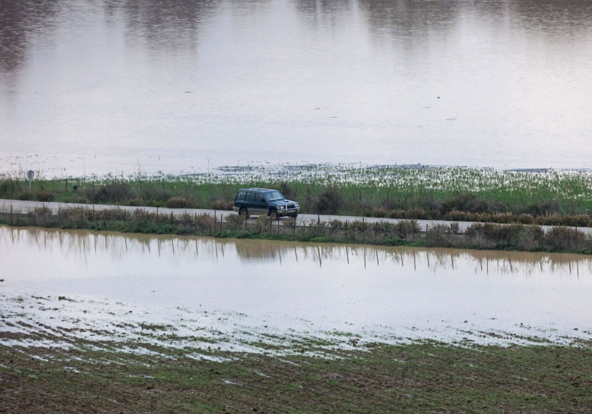 Inundaciones en San Pablo de Buceite pedanía de Jimena de la Frontera, en Cádiz.