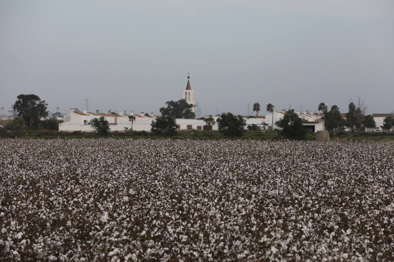 Fotos: Los efectos de la DANA en Cádiz