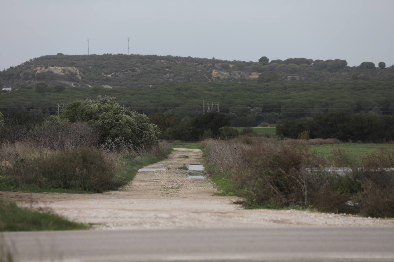 Fotos: Los efectos de la DANA en Cádiz