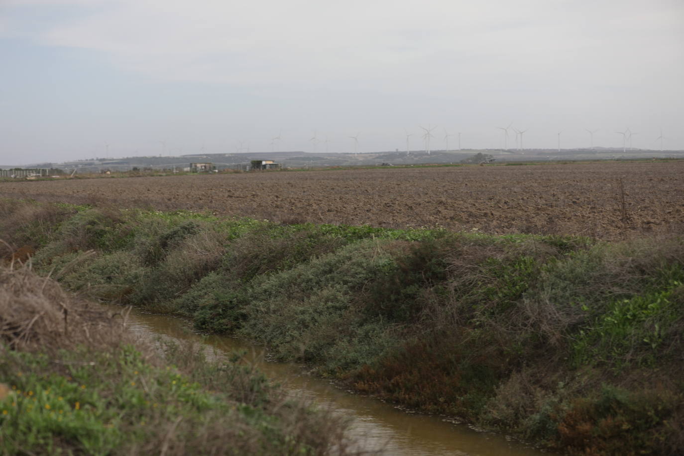 Fotos: Los efectos de la DANA en Cádiz