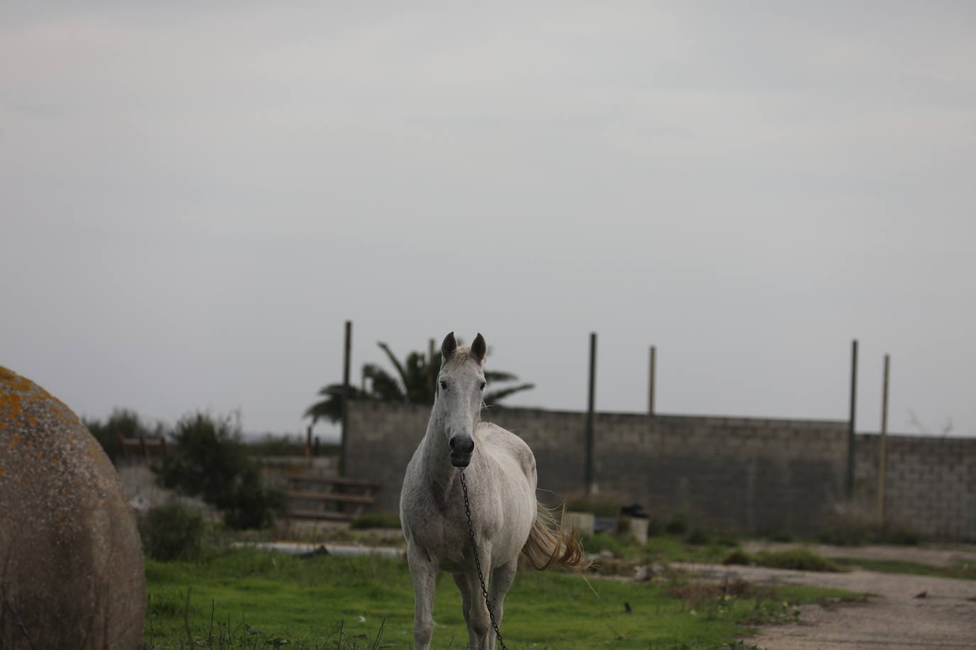 Fotos: Los efectos de la DANA en Cádiz