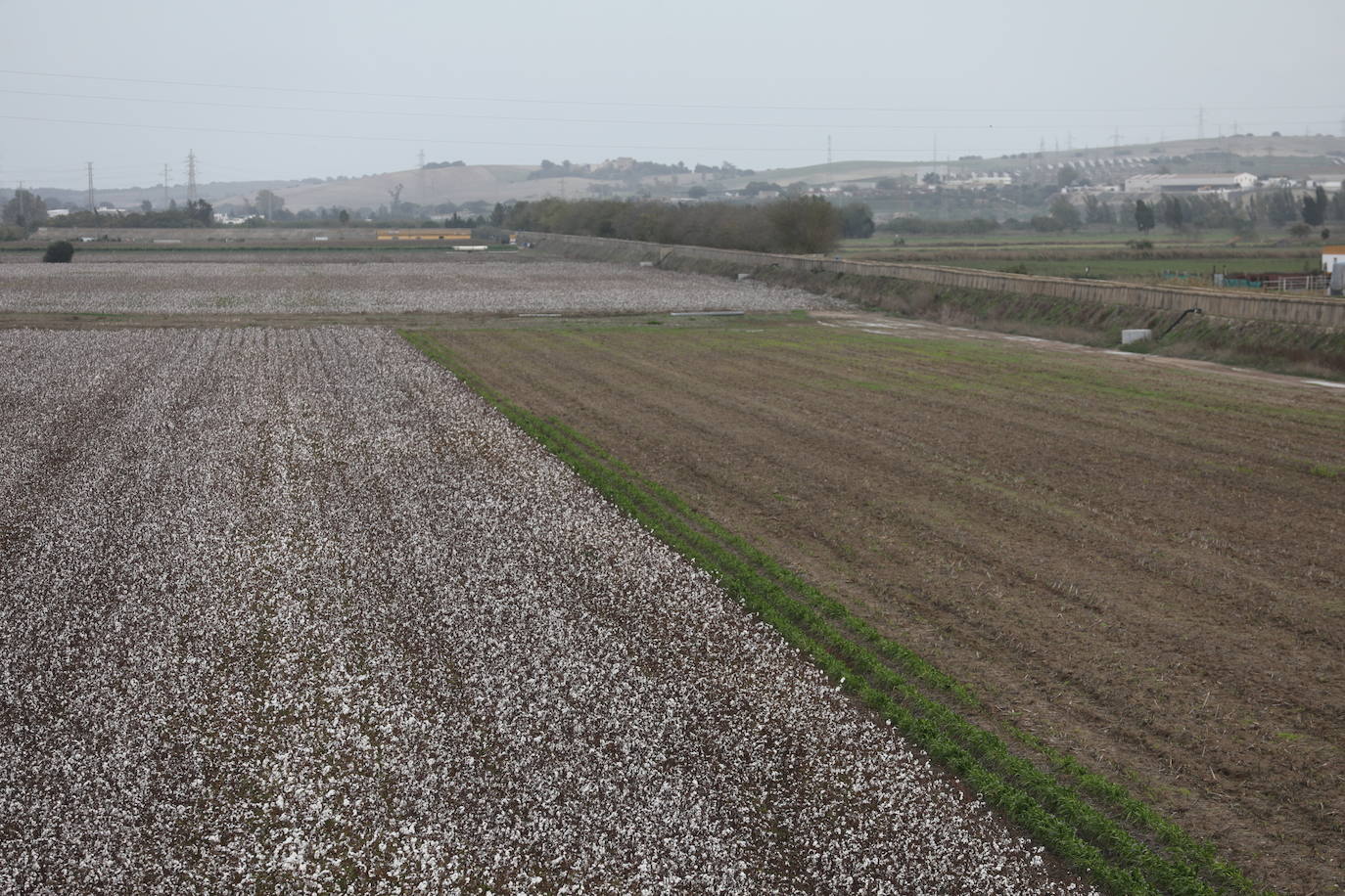 Fotos: Los efectos de la DANA en Cádiz