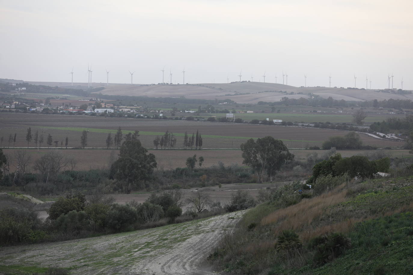 Fotos: Los efectos de la DANA en Cádiz