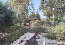 El Ayuntamiento de Puerto Real trabaja en la recuperación de la calle Proa como lugar de esparcimiento ciudadano