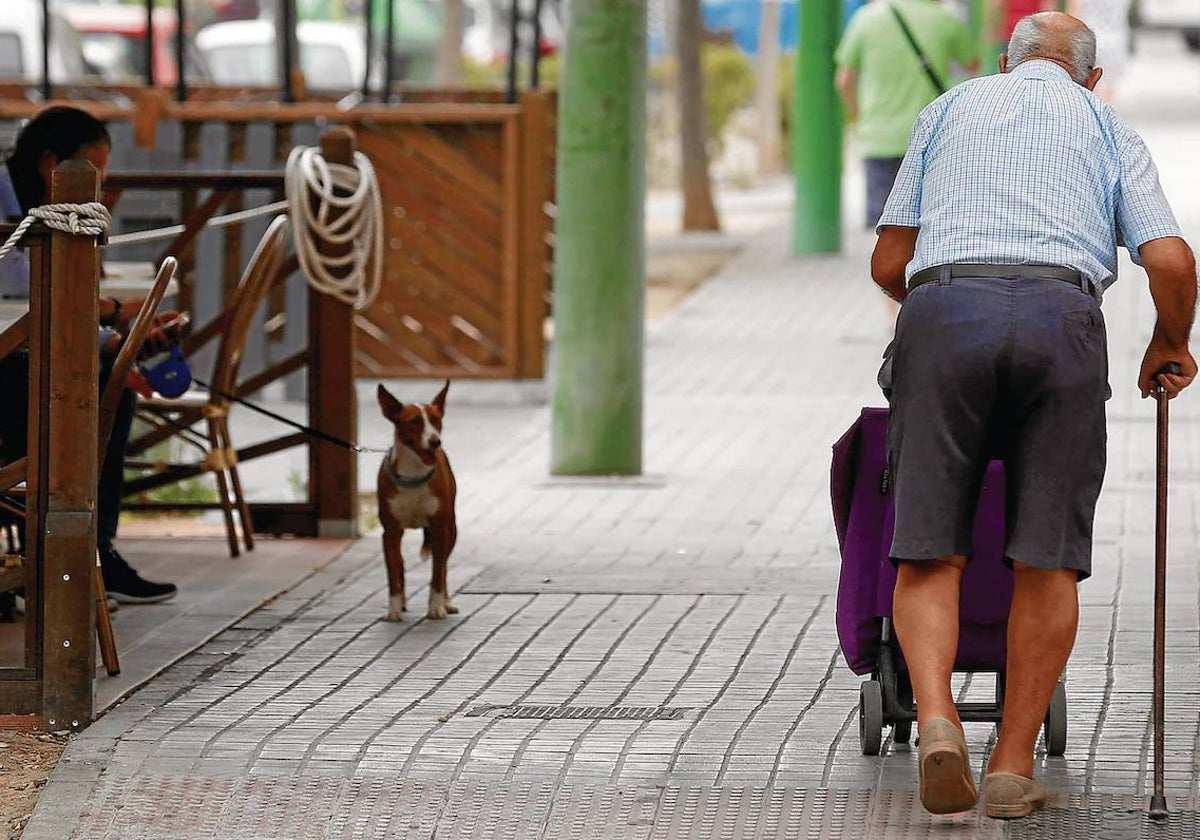 Cádiz se hace mayor