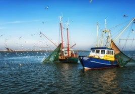 La Junta reitera su «apoyo incondicional» a la pesca de cerco del Golfo de Cádiz