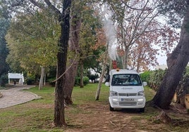 Estos son los parques de Chiclana que estarán cerrados temporalmente por el tratamiento contra la oruga procesionaria