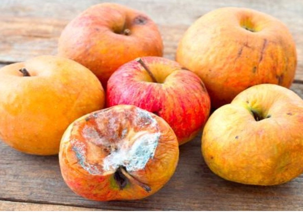 Los alimentos frescos como las manzanas suelen deteriorarse con rapidez