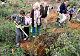 Nueva vida en el pinar de Las Canteras