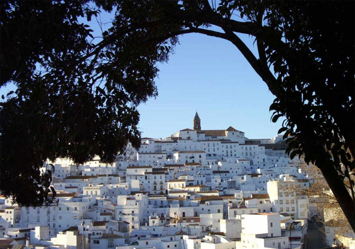 Alcalá de los Gazules.