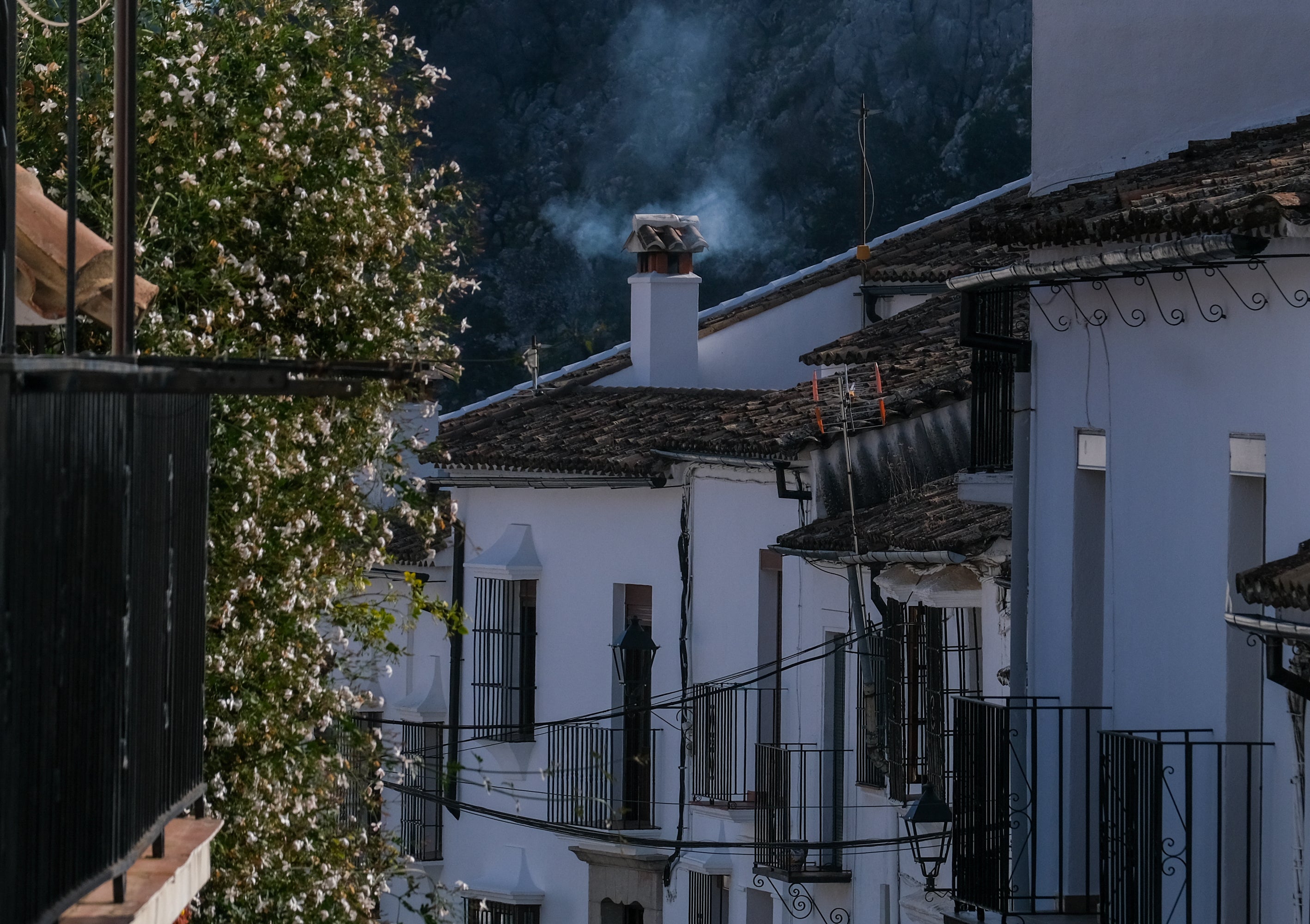 Fotos: Ambiente en la Sierra de Cádiz durante el puente de diciembre