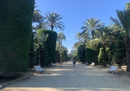 El Parque Genovés de Cádiz, a la espera de que se resuelva la adjudicación de sus reparaciones y mejoras