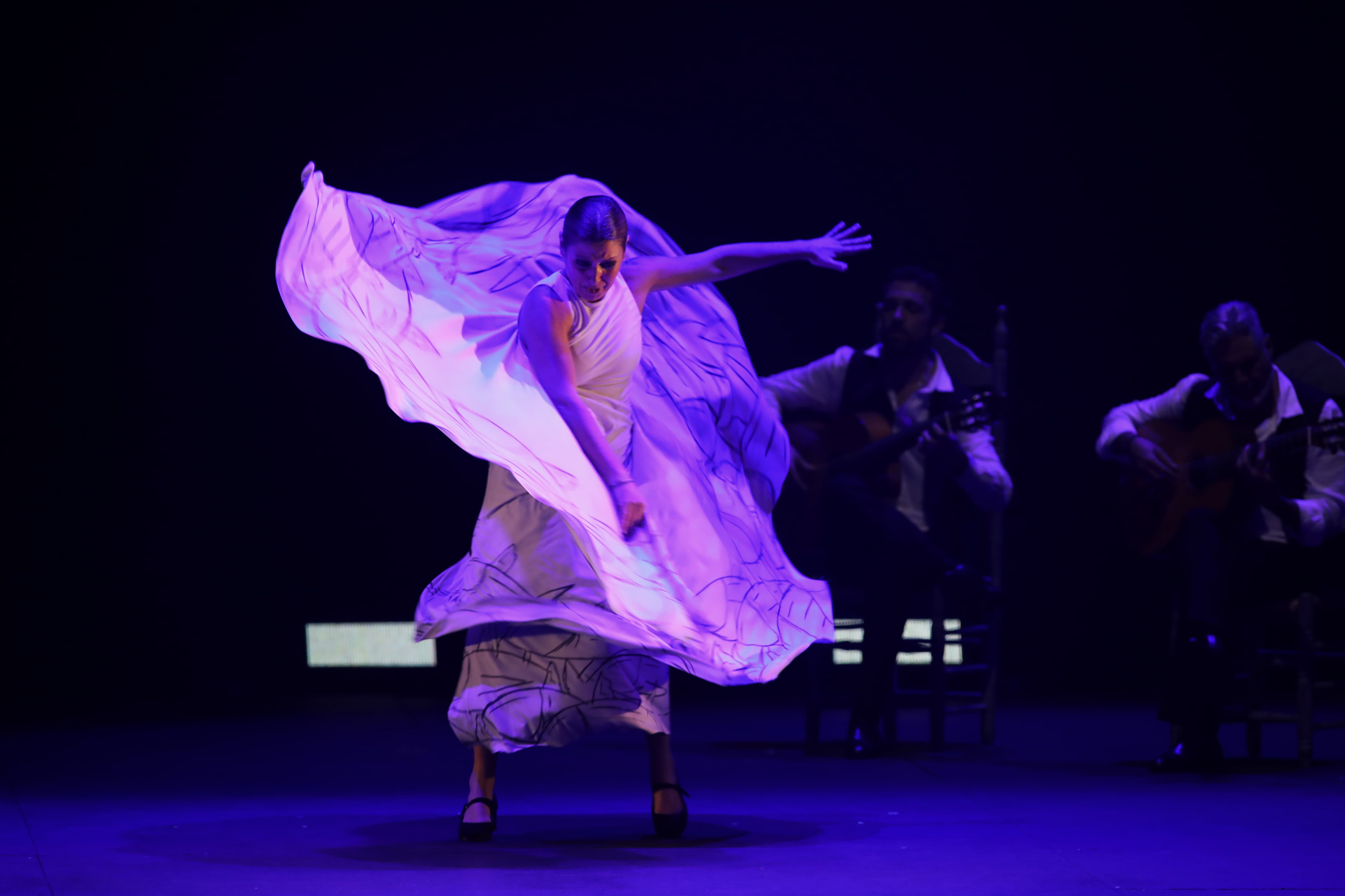 Fotos: Sara Baras &#039;Vuela&#039; en el Falla con su homenaje a Paco de Lucía