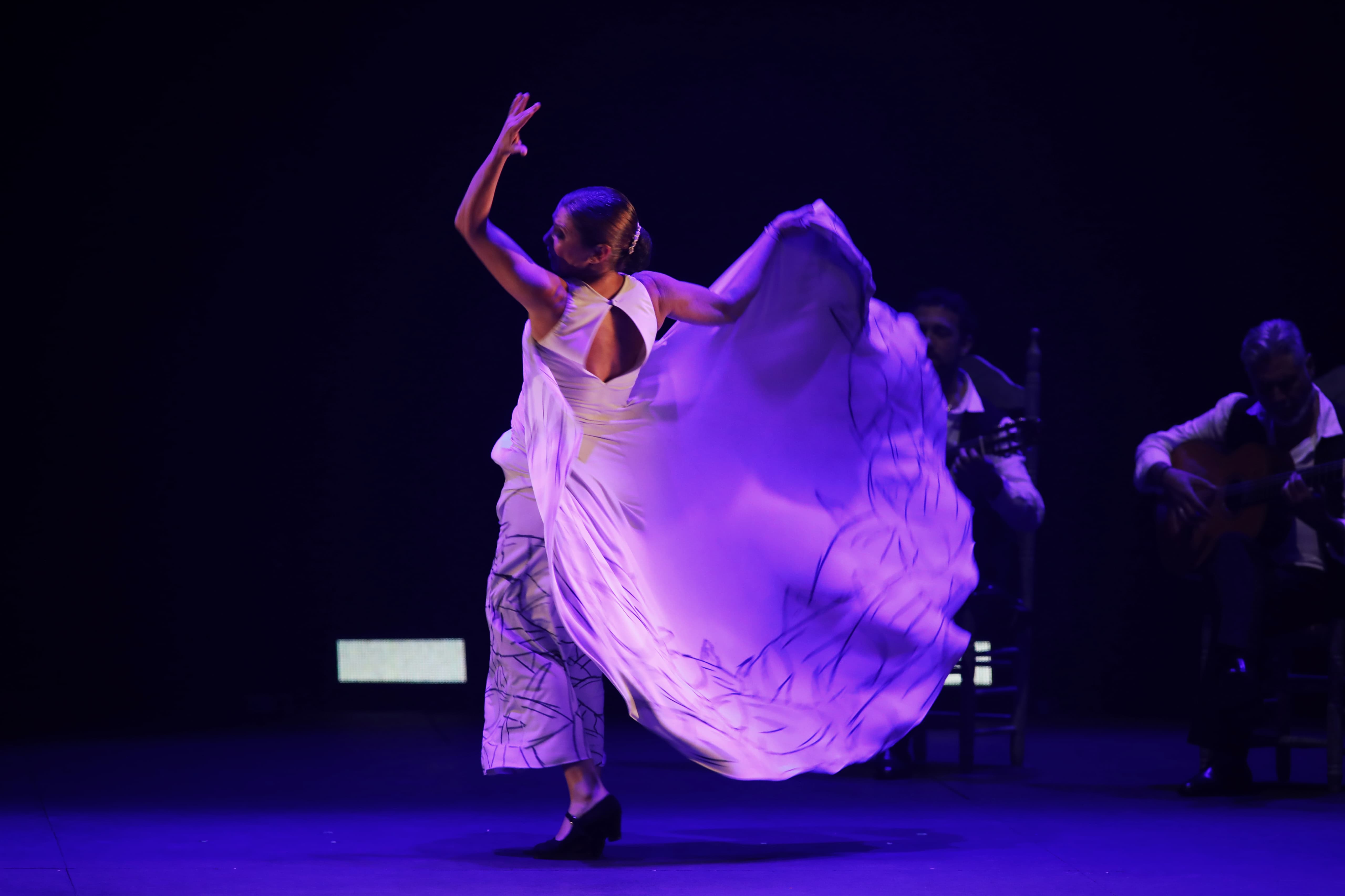 Fotos: Sara Baras &#039;Vuela&#039; en el Falla con su homenaje a Paco de Lucía