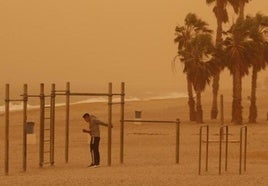 El viento, protagonista de hoy martes en Cádiz y mañana miércoles... polvo sahariano