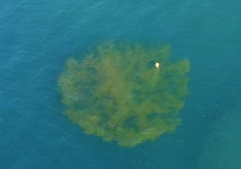 Los buzos de la Armada en Cádiz neutralizan tres artefactos explosivos en las proximidades de Melilla