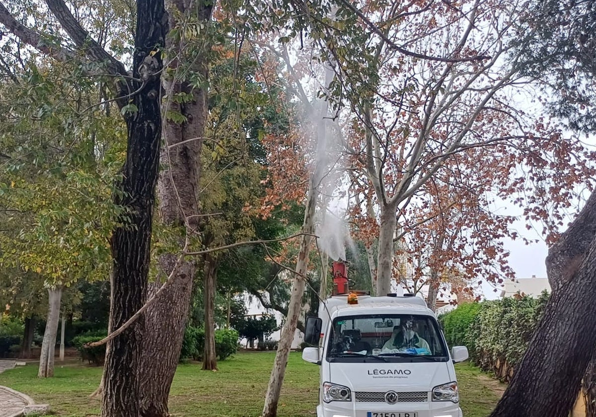 Un momento de la fumigación en Chiclana