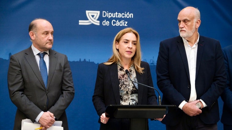 Ortiz, Almudena Martínez y Javier Vidal representan la alianza política en la Diputación