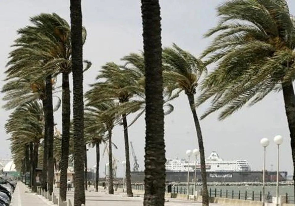 El viento volverá a ser protagonista de la jornada del sábado en Cádiz