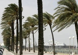 Nueva jornada con Cádiz en aviso amarillo y con leve descenso de las temperaturas