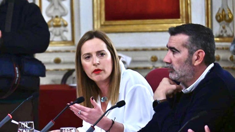 Ana Carrera, portavoz del PSOE en la Diputación, durante su intervención