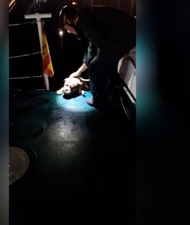 Imagen secundaria 2 - Aterrorizado y preso del pánico por los petardos y fuegos artificiales: un perro a la deriva en aguas de Chipiona