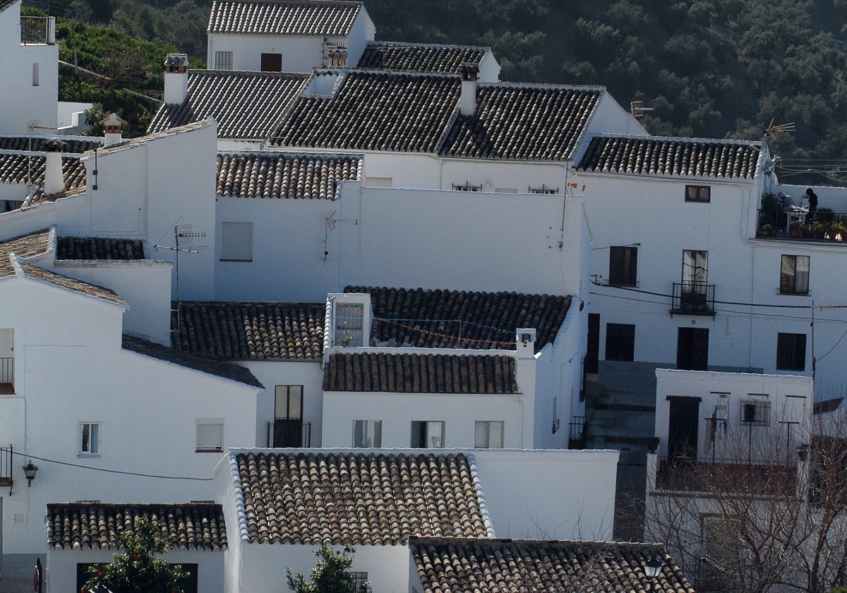 Vista de la Sierra de Cádiz.