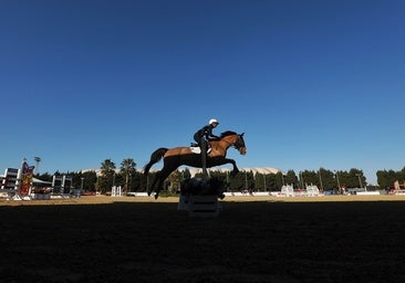 El Circuito Hípico del Sol, clave en la desestacionalización: «Si no fuera por él, muchos hoteles de la zona no abrirían»