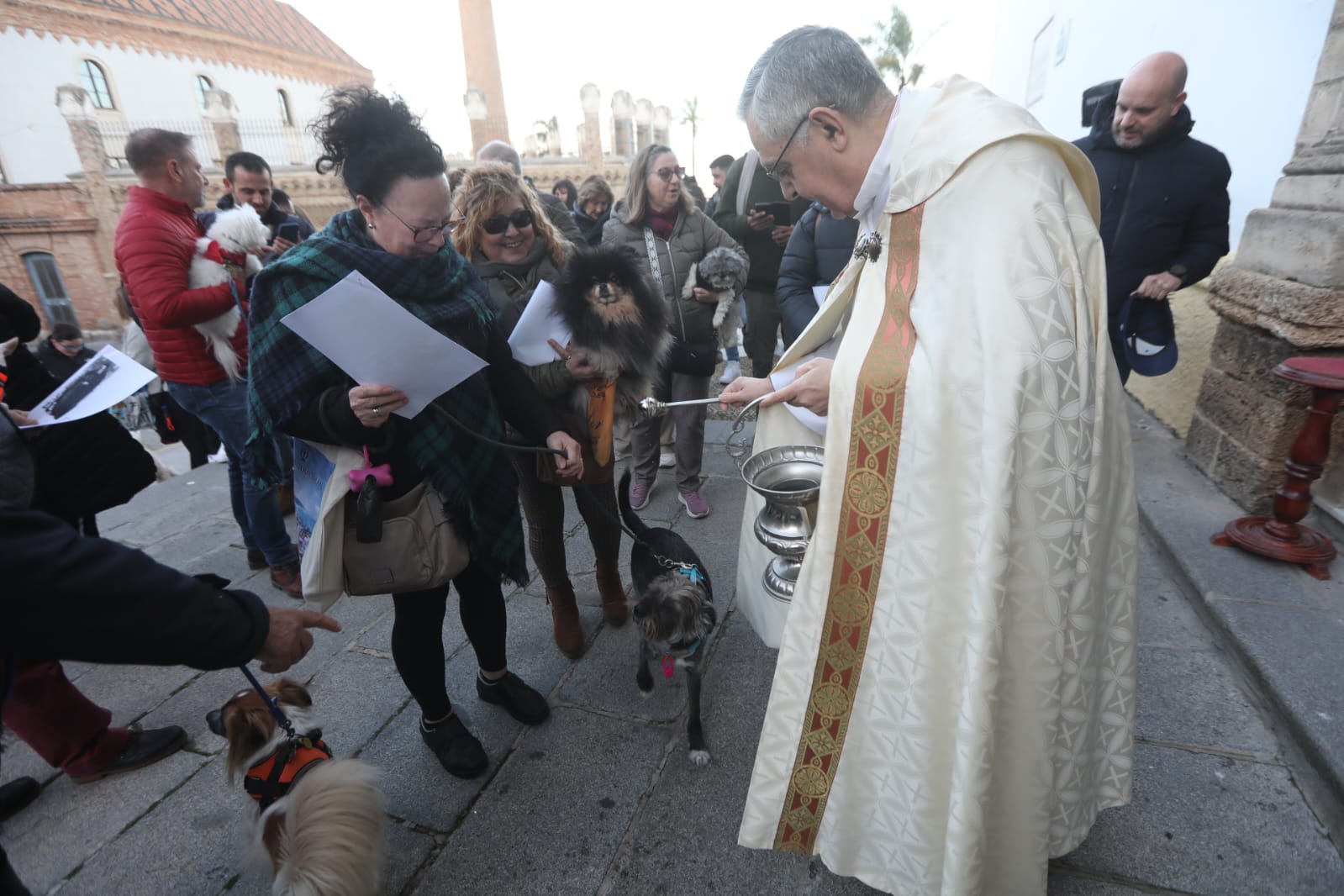 Bendición a las mascotas gaditanas en la festividad de San Antonio Abad