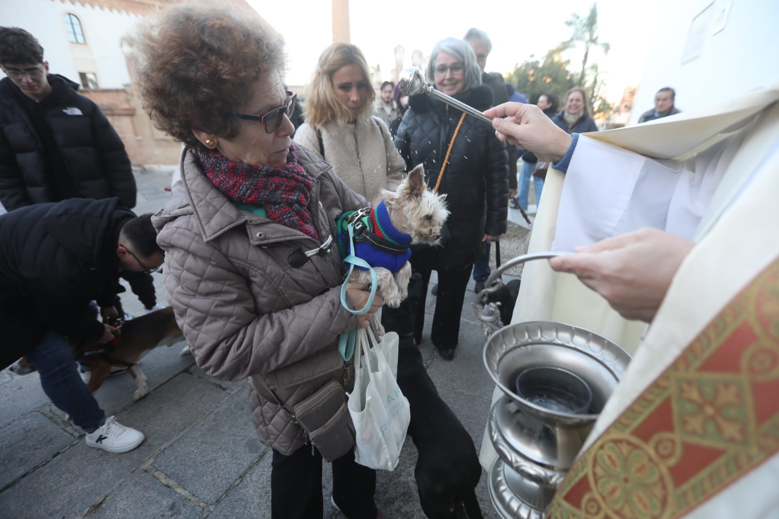 Bendición a las mascotas gaditanas en la festividad de San Antonio Abad