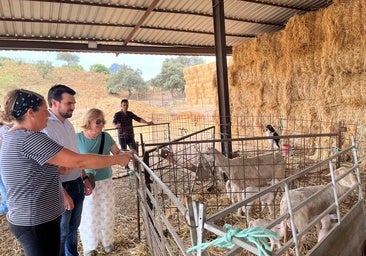 Impulso para que los jóvenes agricultores soliciten ayudas