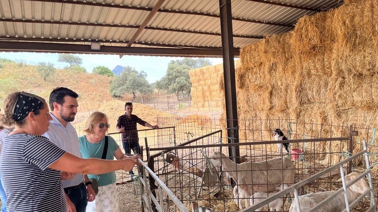 Impulso para que los jóvenes agricultores soliciten ayudas