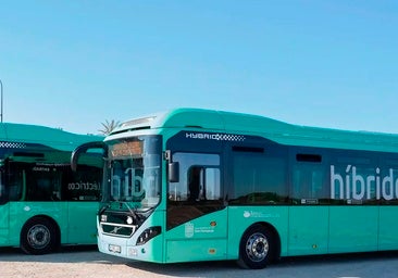 El Ayuntamiento de San Fernando mantendrá la bonificación del 50% en su transporte público