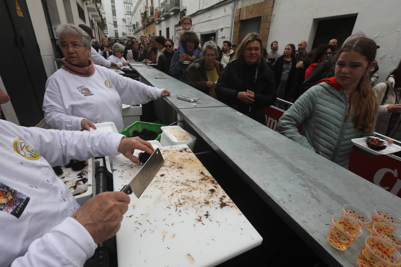 La Erizada llena La Viña de gente y coplas... hasta que la lluvia aguó la fiesta