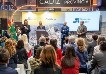 Diputación asume el reto de sumar nuevos vuelos para el aeropuerto de Jerez