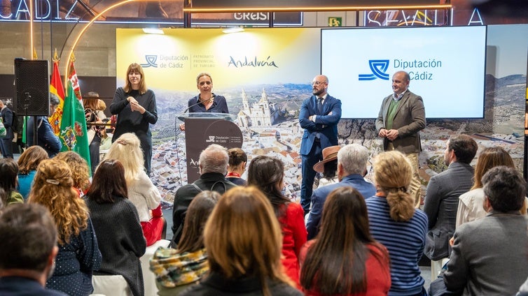 Diputación asume el reto de sumar nuevos vuelos para el aeropuerto de Jerez